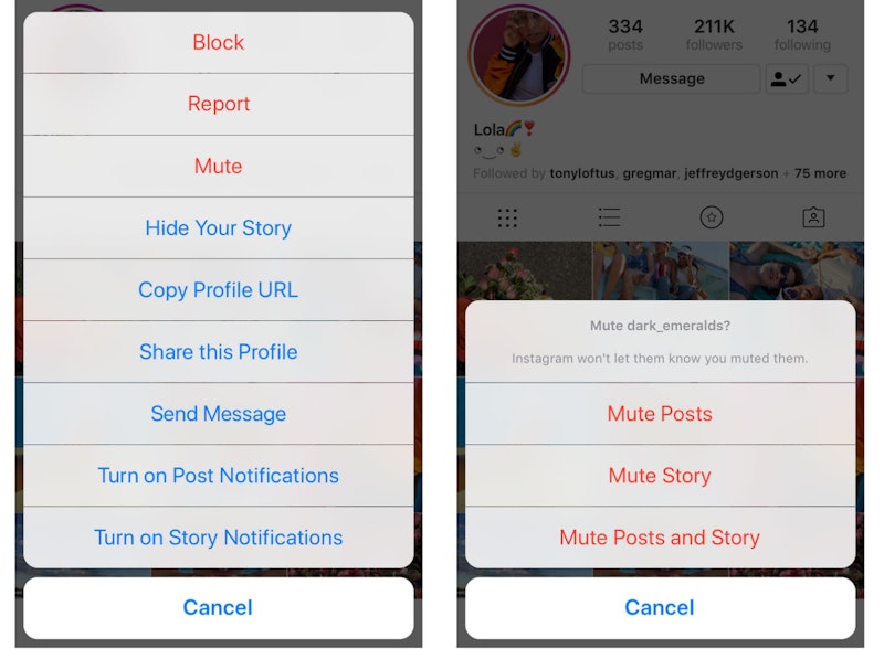 How To Mute Someone On Instagram Without Unfollowing Them, Thanks To ...