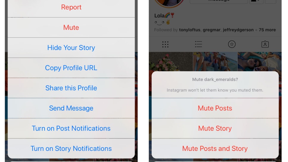 how to mute someone on instagram without unfollowing them thanks to this new app update - how to mute followers on instagram