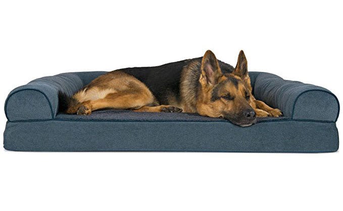 The Best Dog Beds For Older Dogs