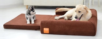 LaiFug Orthopedic Memory Foam Folding Dog Bed 