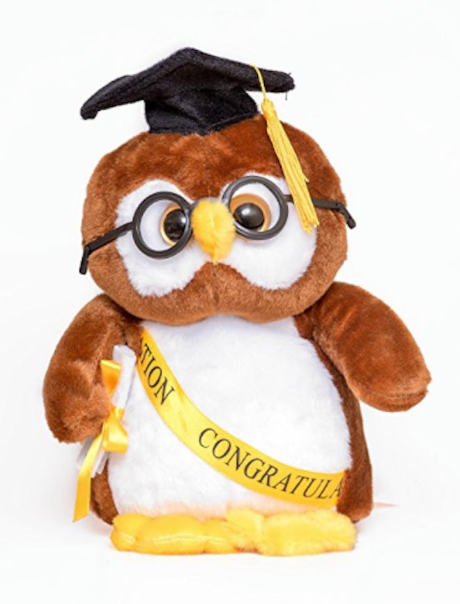 Stuffed Graduation Owl