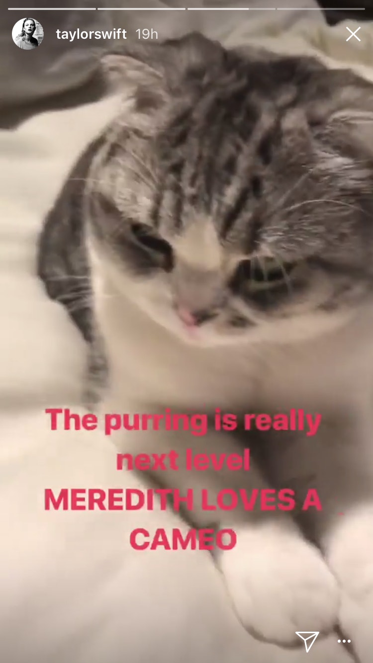 Taylor Swifts Cats Deadpool 2 Cameo Is Absolutely Purr Fect