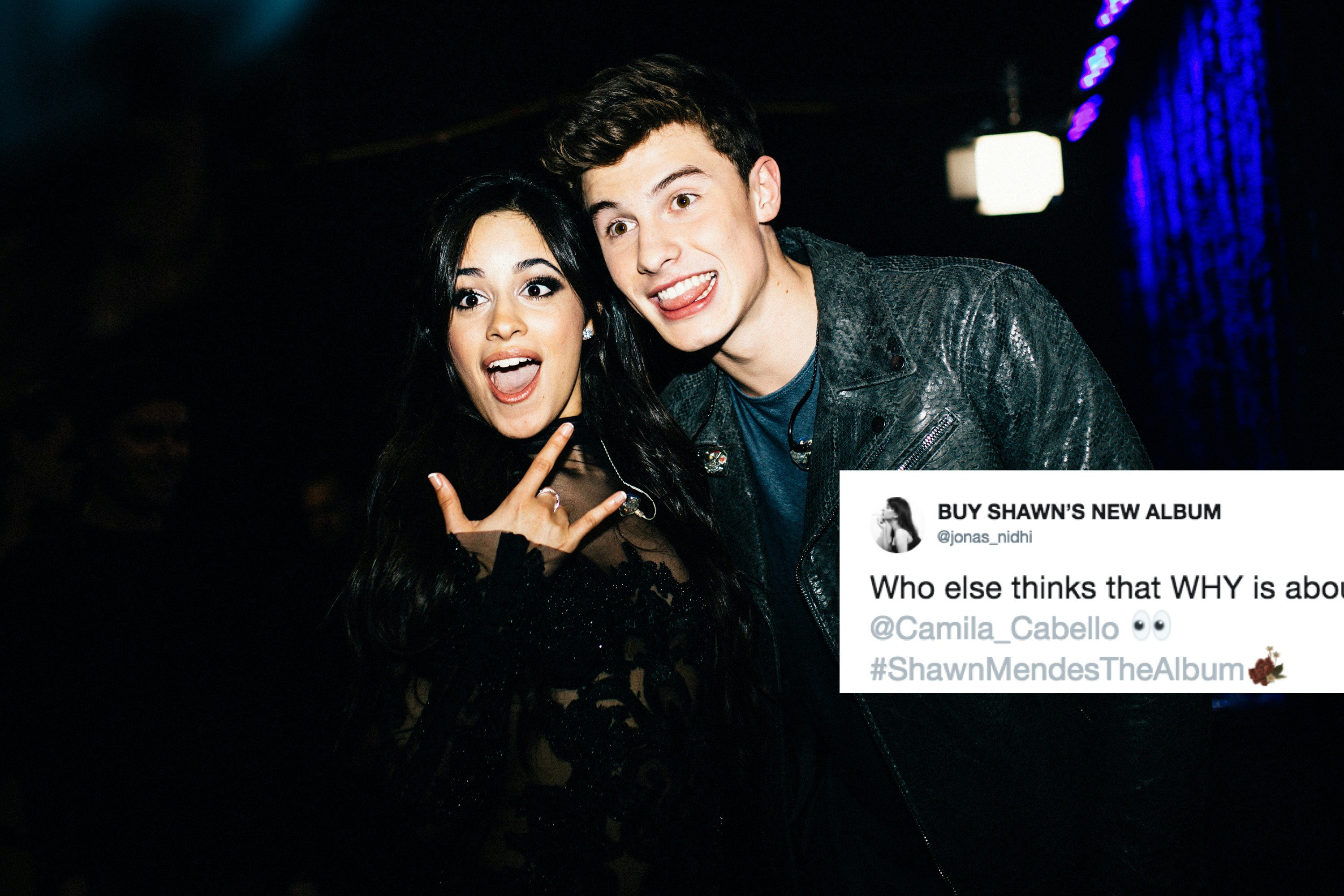 Is Shawn Mendes Why About Camila Cabello The Lyrics Have