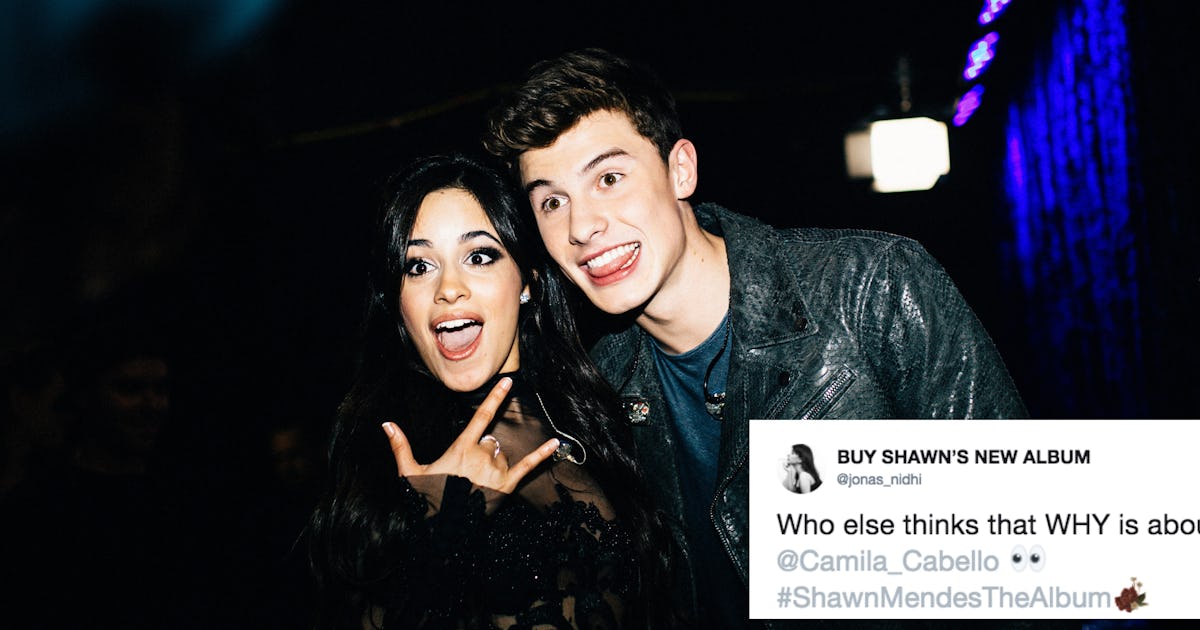 Is Shawn Mendes Why About Camila Cabello The Lyrics Have Fans Convinced Is Shawn Mendes Why About Camila Cabello The Lyrics Have Fans Convinced