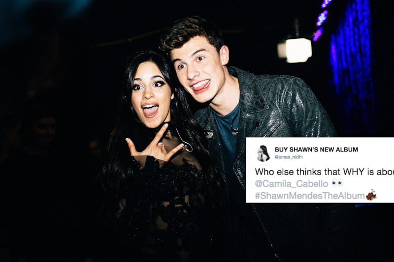 Is Shawn Mendes Why About Camila Cabello The Lyrics Have Fans Convinced