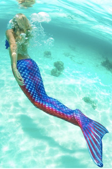 Blue Tang Mermaid Tail – FinFriends