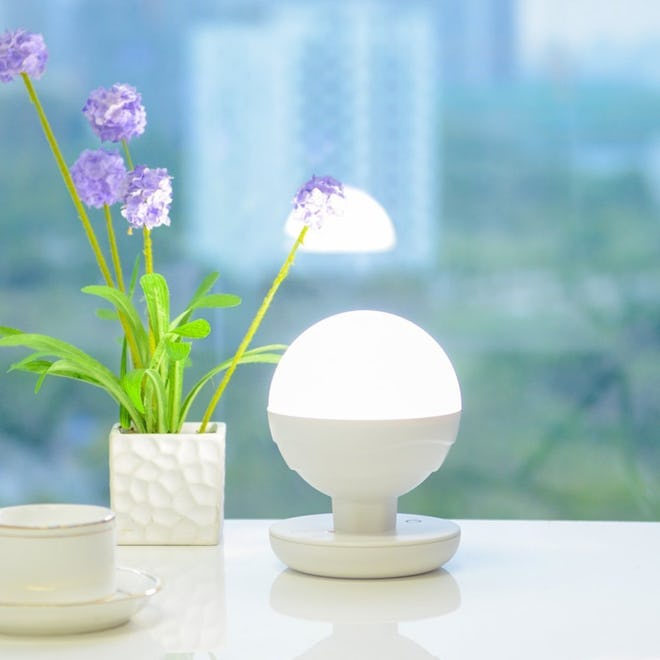 ANNT Multifunctional Portable Lamp