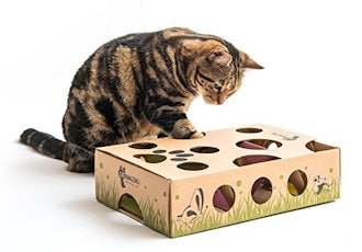 Cat Amazing Maze And Puzzle Feeder 