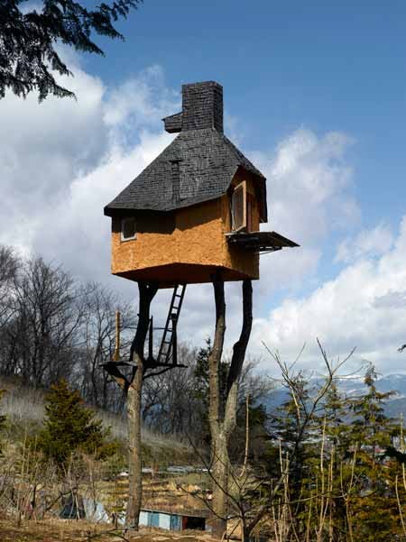 The Coolest Tree Houses in The World The 13 Most Amazing Homes Living The Dream