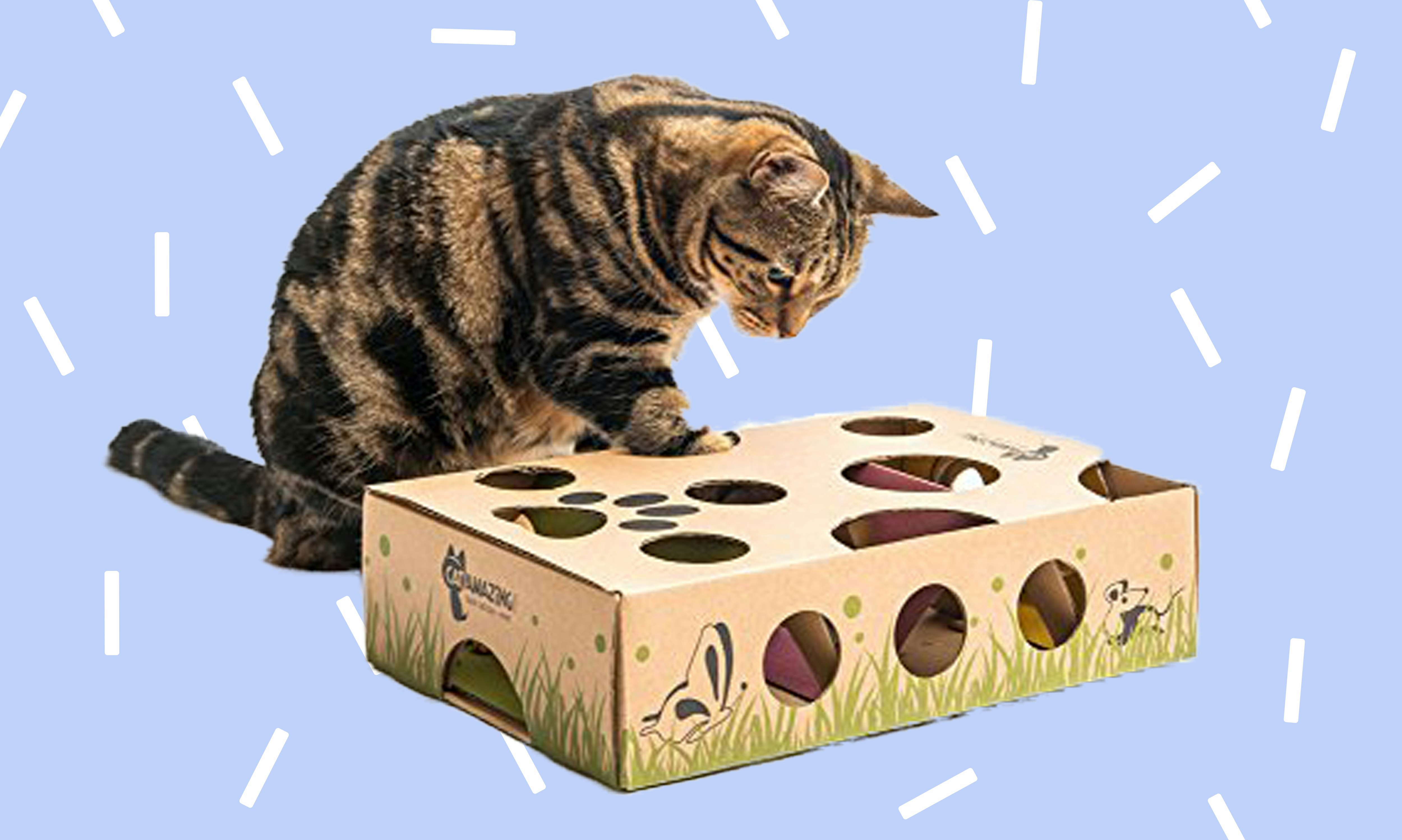 fun toys for indoor cats