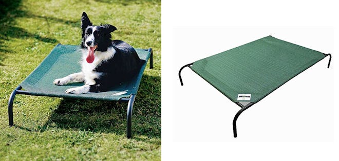 Gale Pacific Coolaroo Elevated Pet Bed