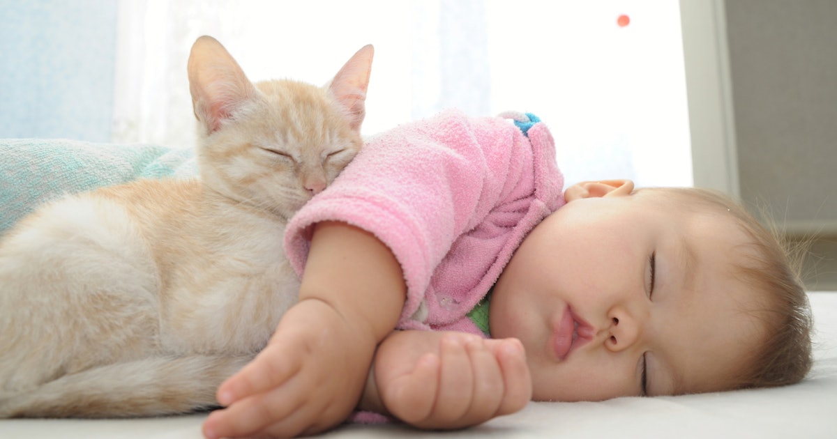 5 Old Wives Tales About Cats Babies Parents Can Ignore