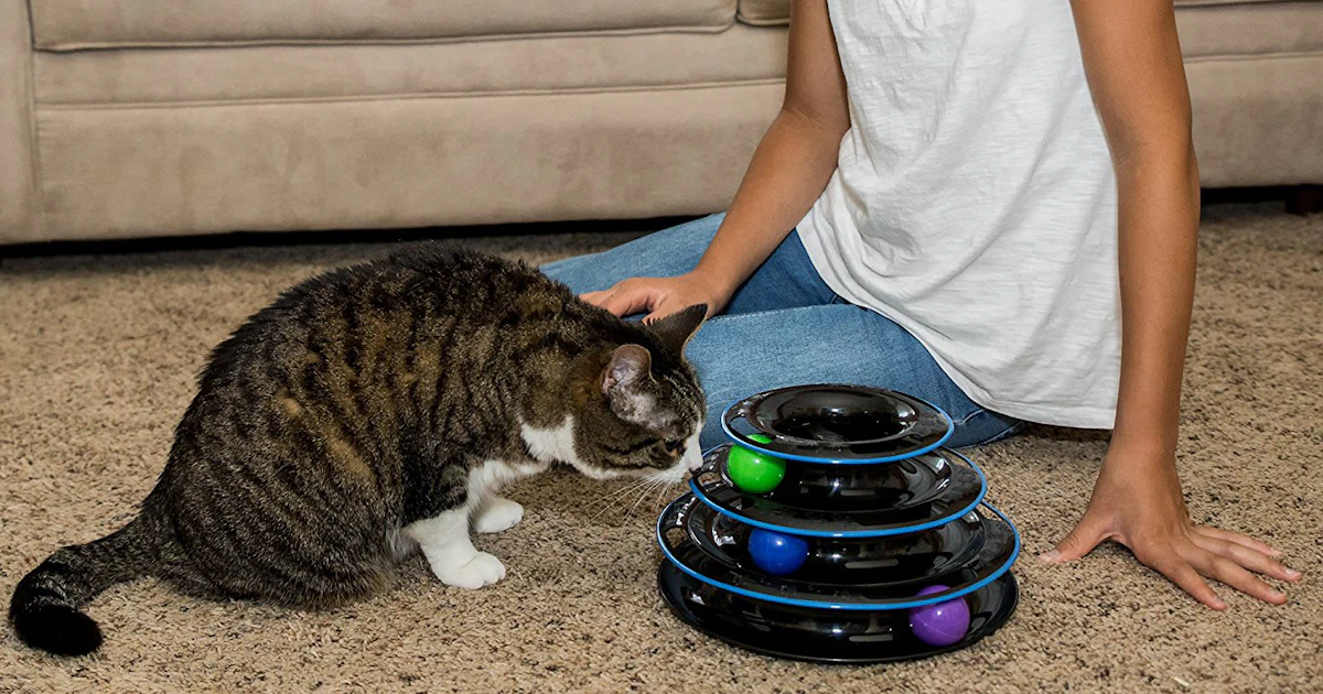 The 5 Best Cat Toys For Older Cats The 5 Best Cat Toys For Older Cats