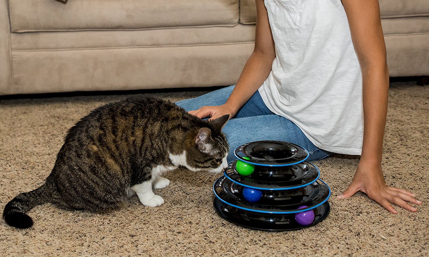 best toys for older cats