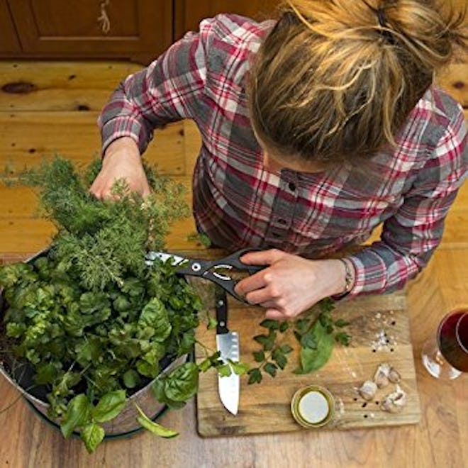Grow Your Own Herbs Garden Seedsheet