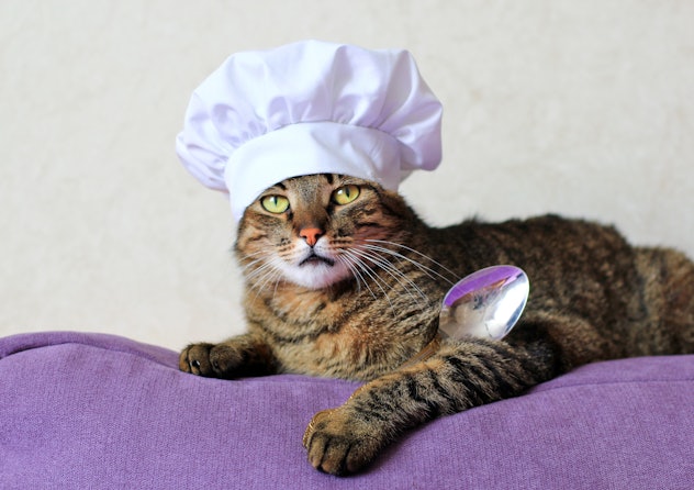 A cat with the chef hat and spoon lying on the sofa
