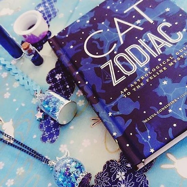36 Cat Names Based On Their Zodiac Sign, Because Your Kitty Is A Total Star