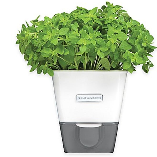 Cole & Mason Self-Watering Potted Herb Keeper