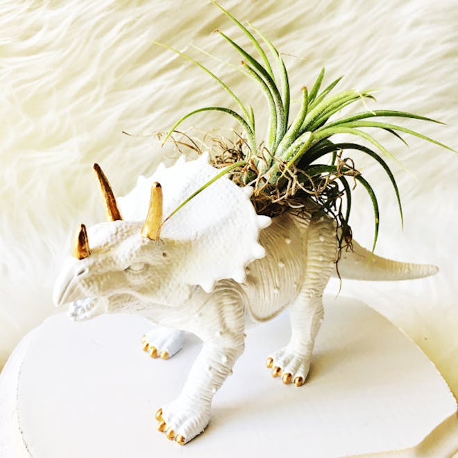 White Triceratops Gold Accents Dinosaur Planter