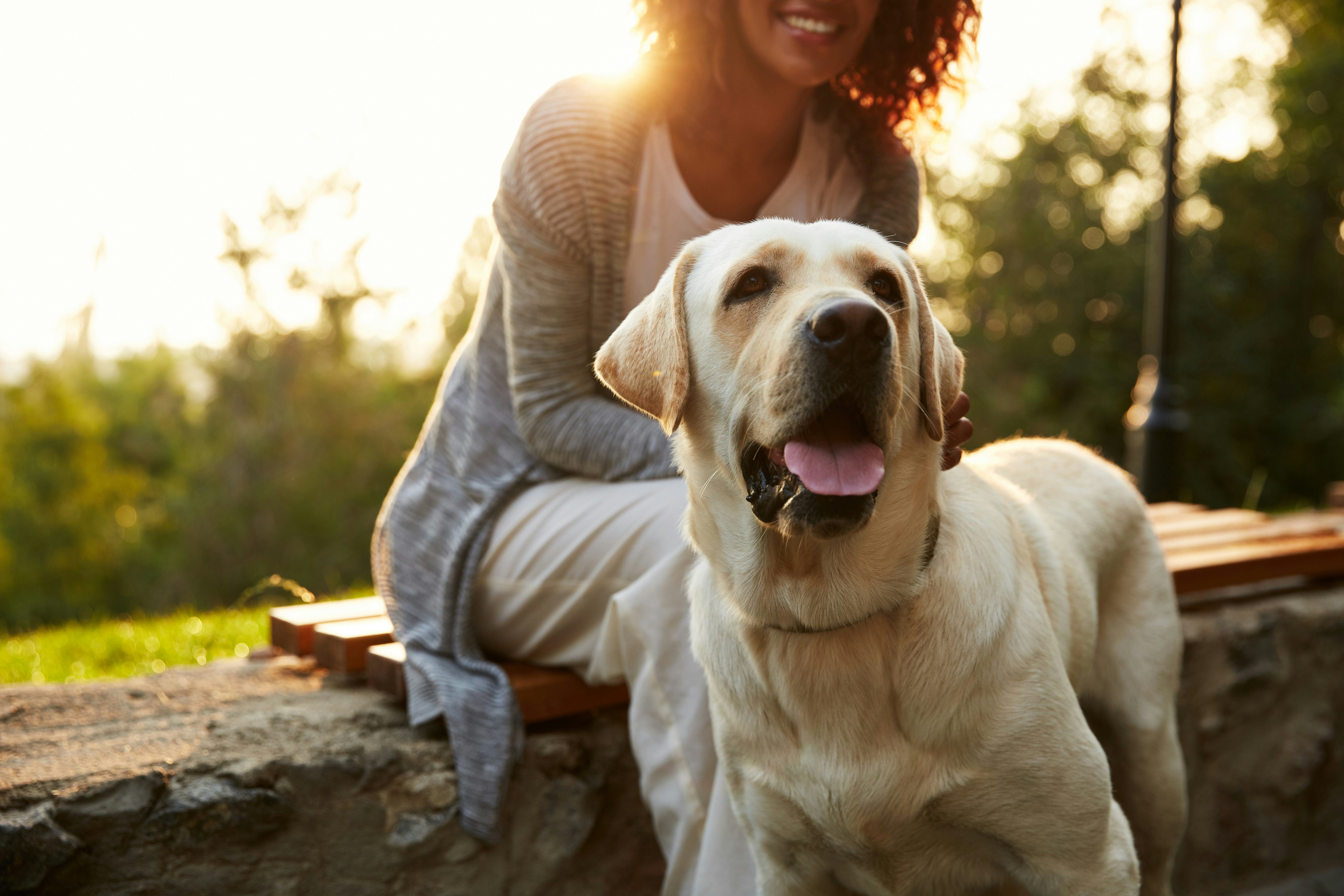 music to make your dog happy