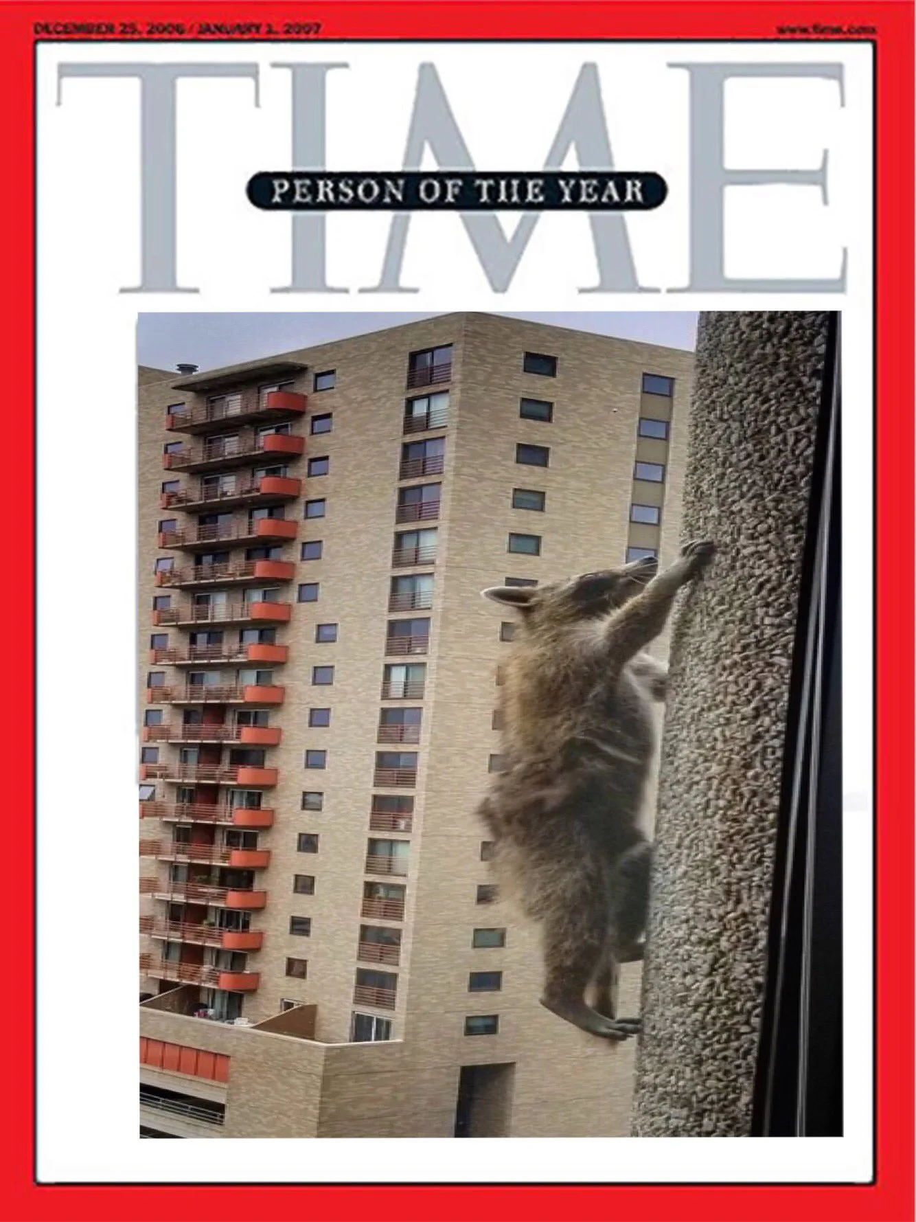 The Best MPR Raccoon Tweets That Had All Of The Internet Rallying ...