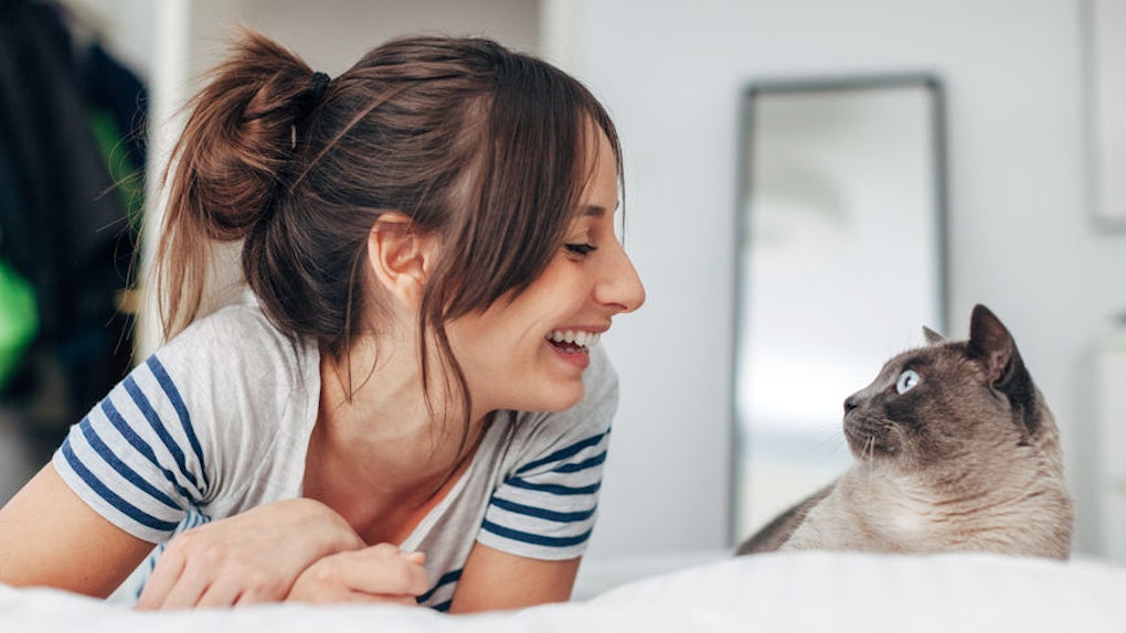 Is It Good To Talk To Your Cat Experts Say Chatting With Your Fur