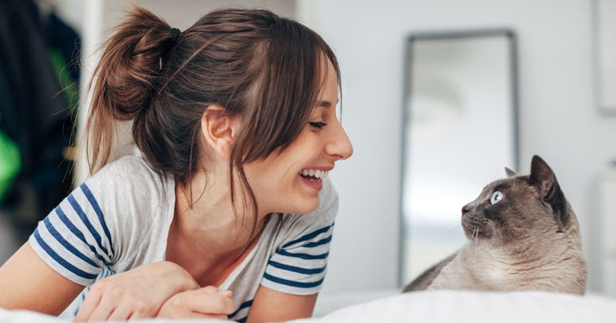 Is It Good To Talk To Your Cat? Experts Say Chatting With ...