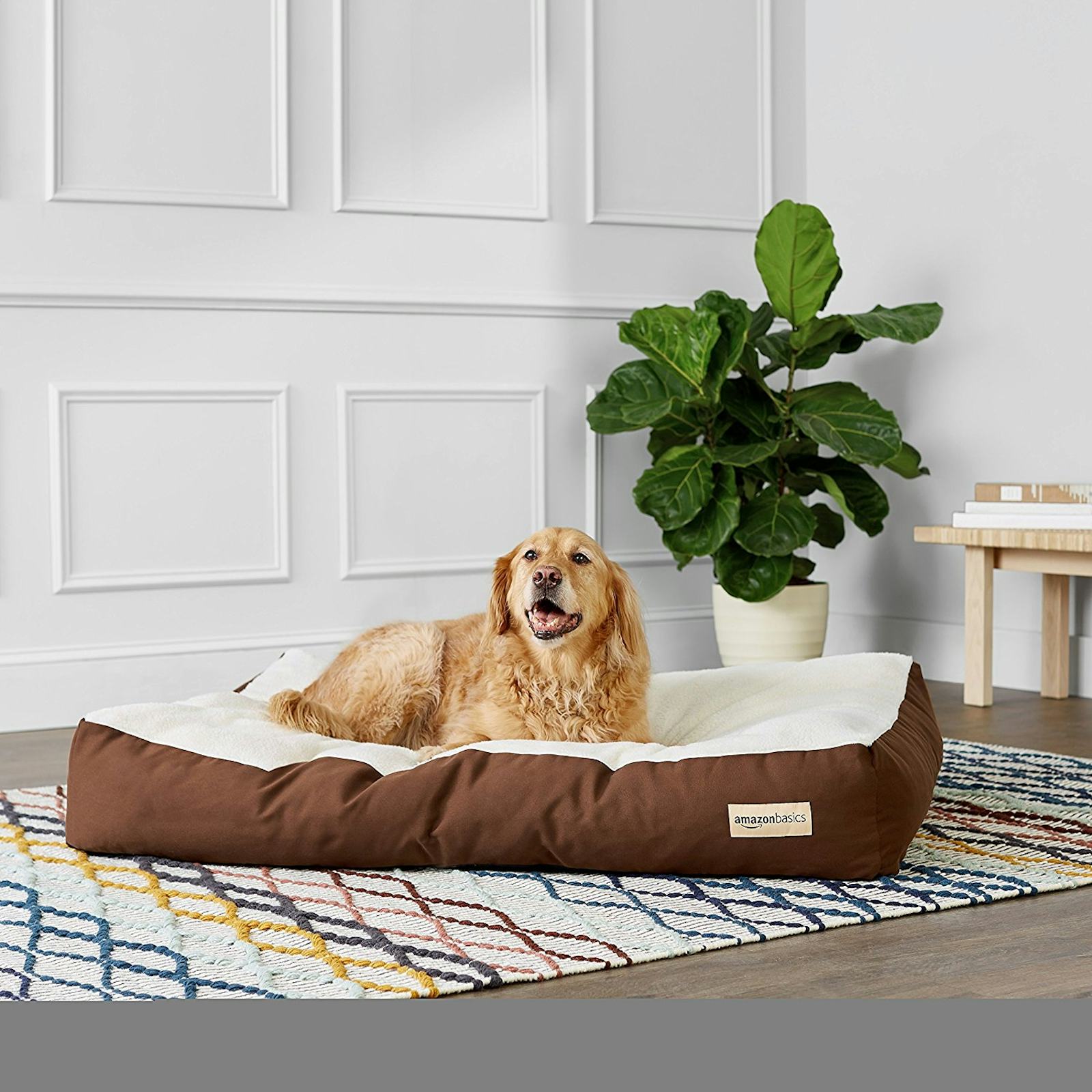 The 7 Best Dog Beds For Large Dogs The 7 Best Dog Beds For Large Dogs