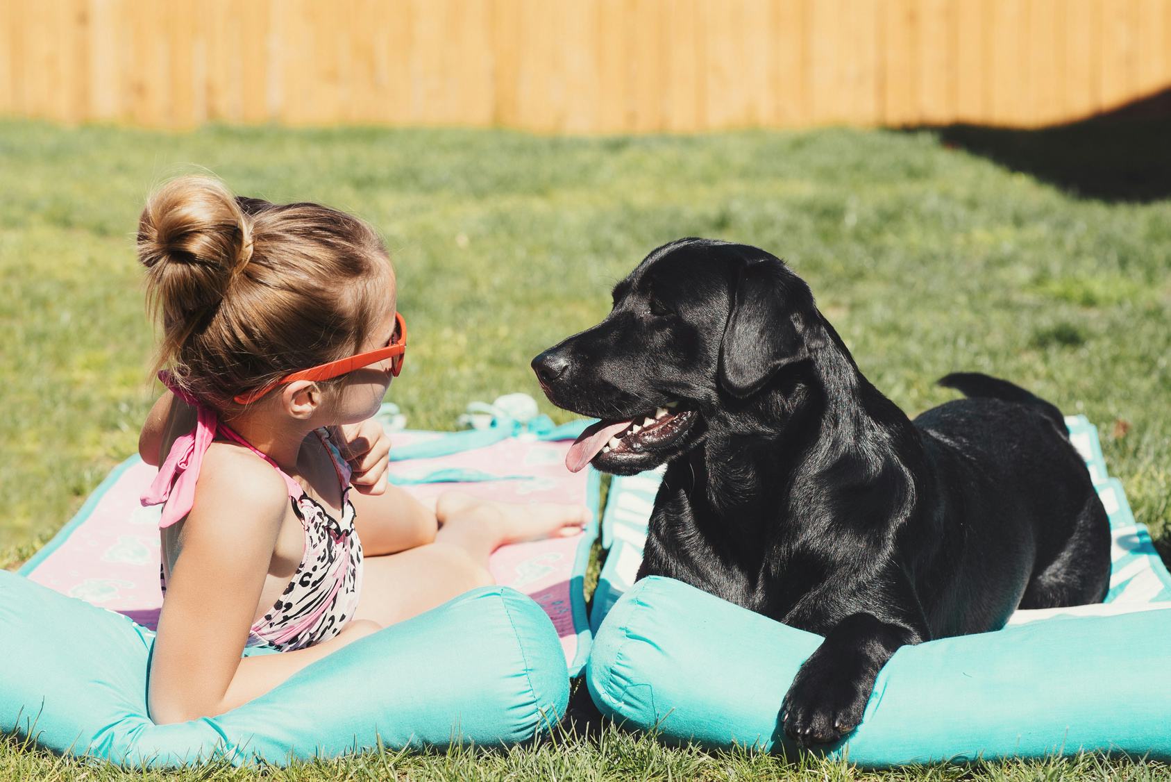 Is Sunscreen Safe For Dogs? Your Pup Needs Protection From UV Rays, Too