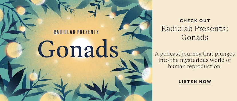 The cover of Radiolabs Gonads podcast