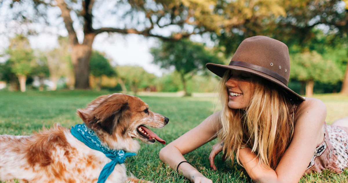 Get 30 Summer Captions For Dogs To Make The Sweet Memories Last Fur Ever HD Wallpaper 30 Summer Captions For Dogs To Make The Sweet Memories Last Fur Ever For iPhone Free