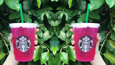 how much caffeine is in a starbucks mango dragonfruit refresher how much caffeine is in a starbucks mango dragonfruit refresher