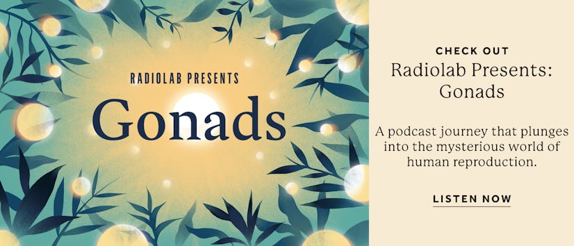 The cover of Radiolab's 'Gonads' podcast