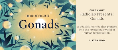 Poster of the Rabiolabs' Gonads podcast