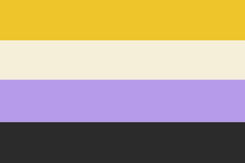 The nonbinary pride flag: yellow, white, purple, and black.
