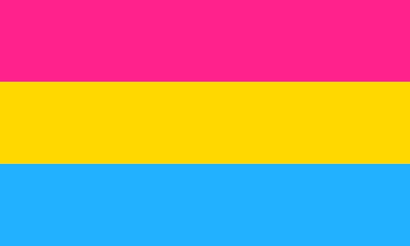 A pansexual pride flag: pink, yellow, and blue.