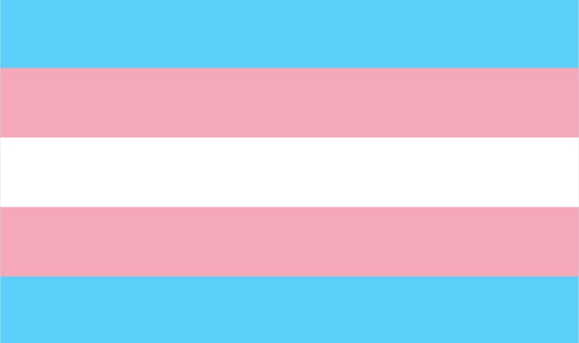 The Transgender Pride flag: 5 stripes of blue, pink, white, pink, and blue.