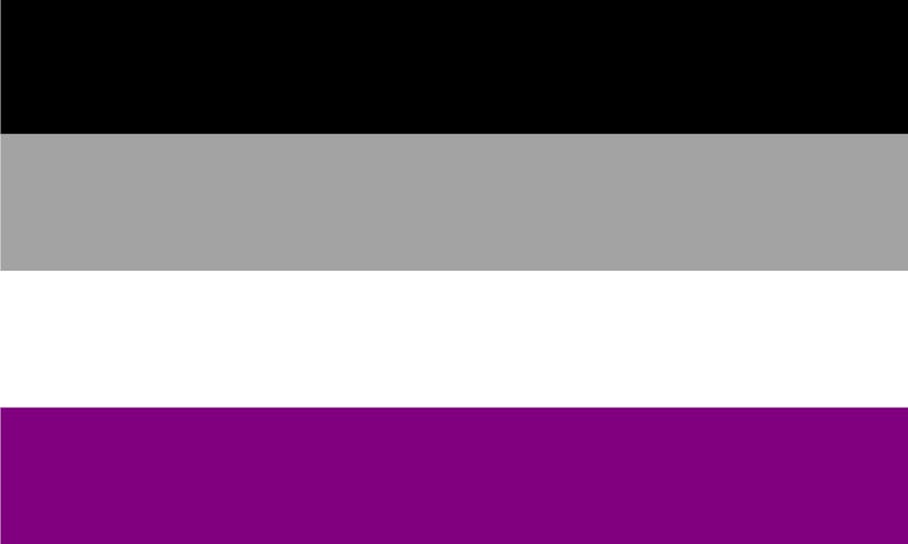 The asexual pride flag: black, gray, white, purple.