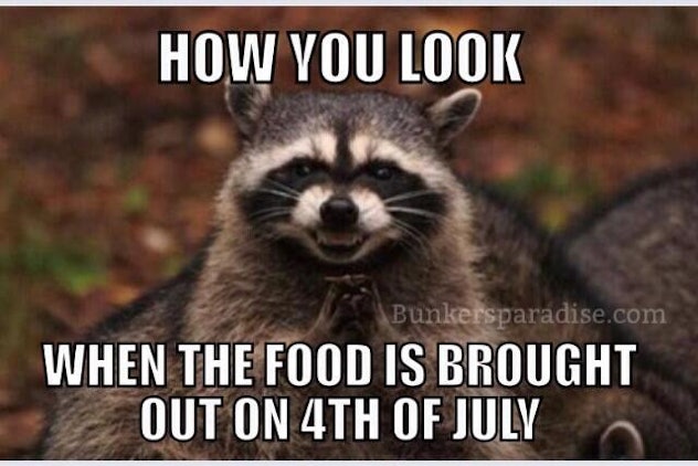 Extremely Normal 4th of July Memes - Memebase - Funny Memes