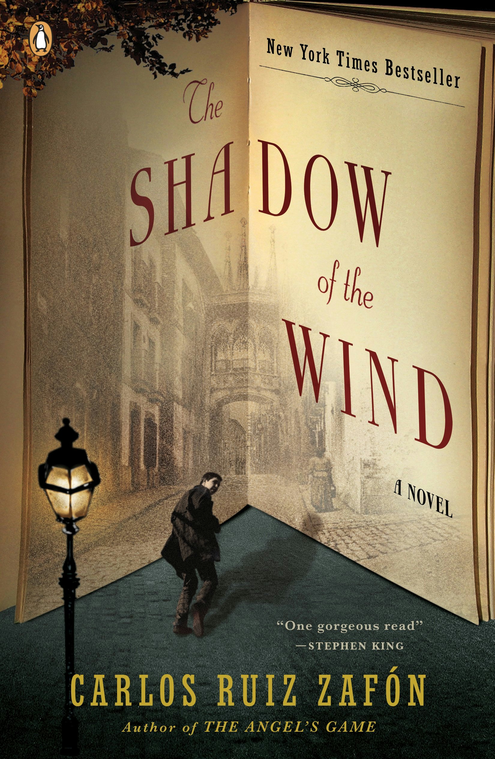 the shadow of the wind by carlos ruíz zafón