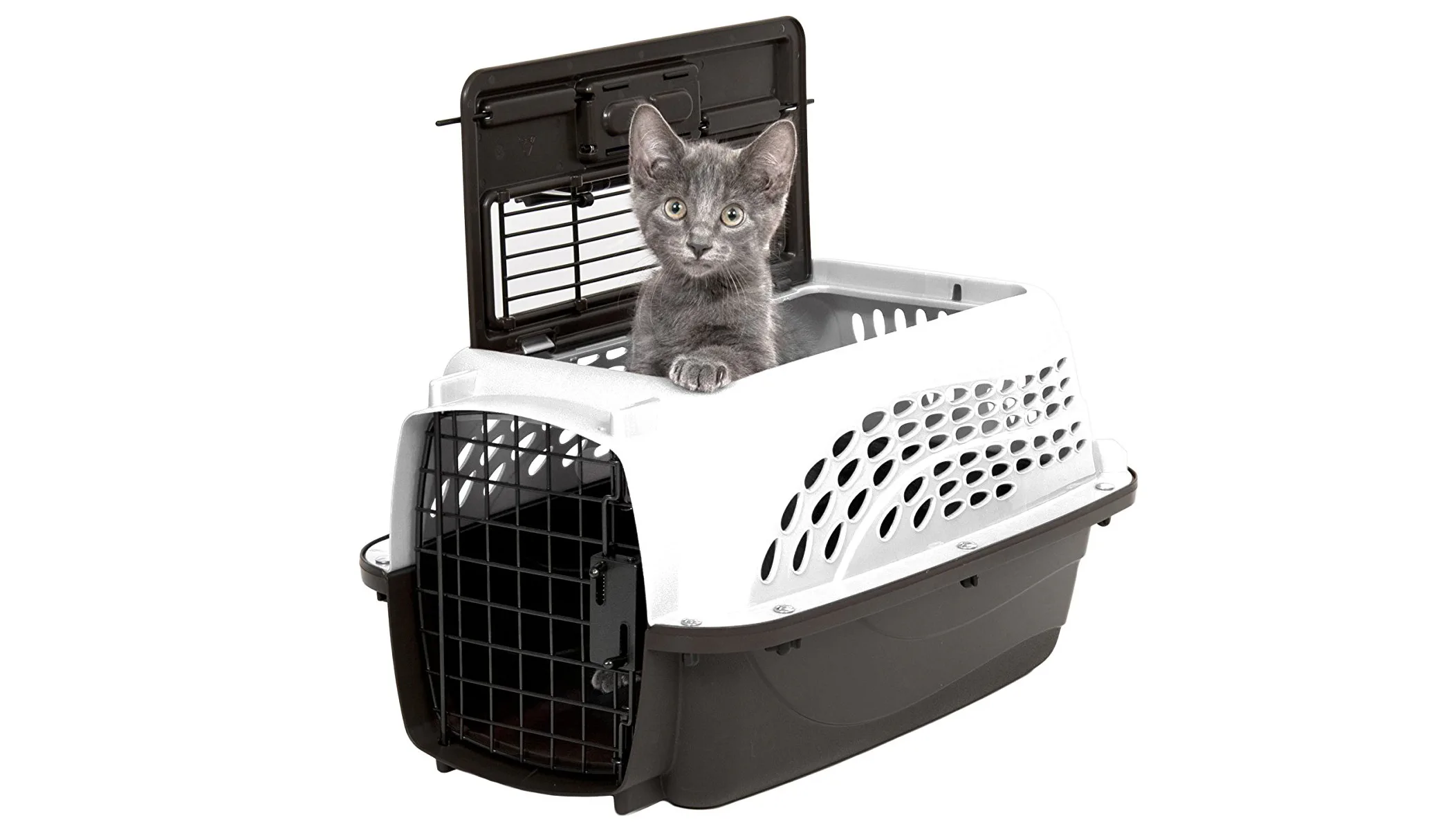best cat crates for car travel
