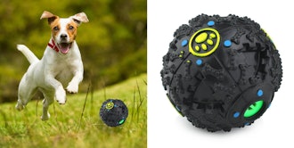 Furry Fido Interactive Dog Ball