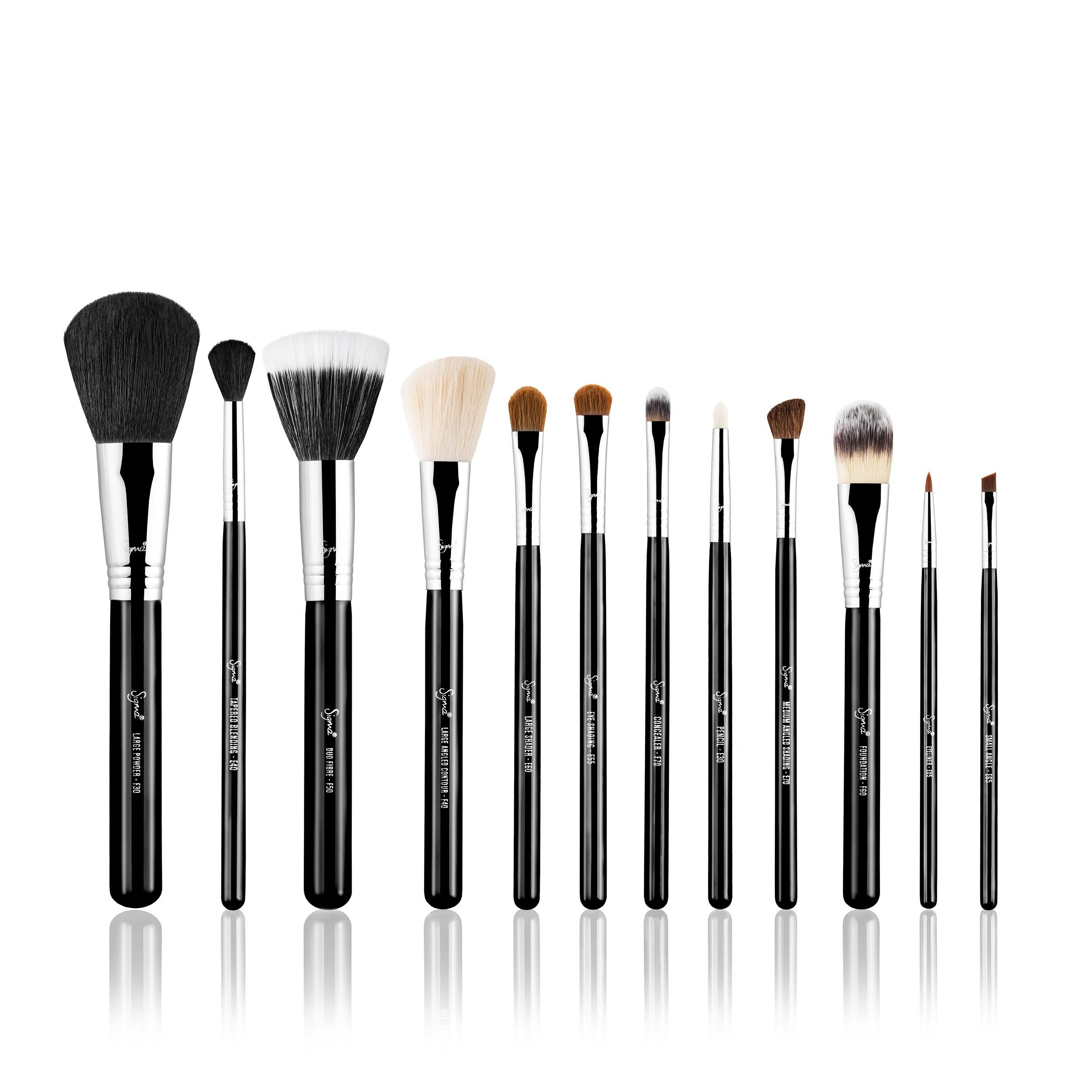 massive makeup brush set