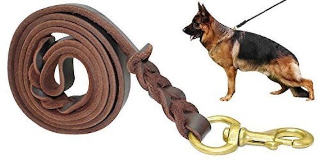 Fairwin Braided Leather Dog Leash