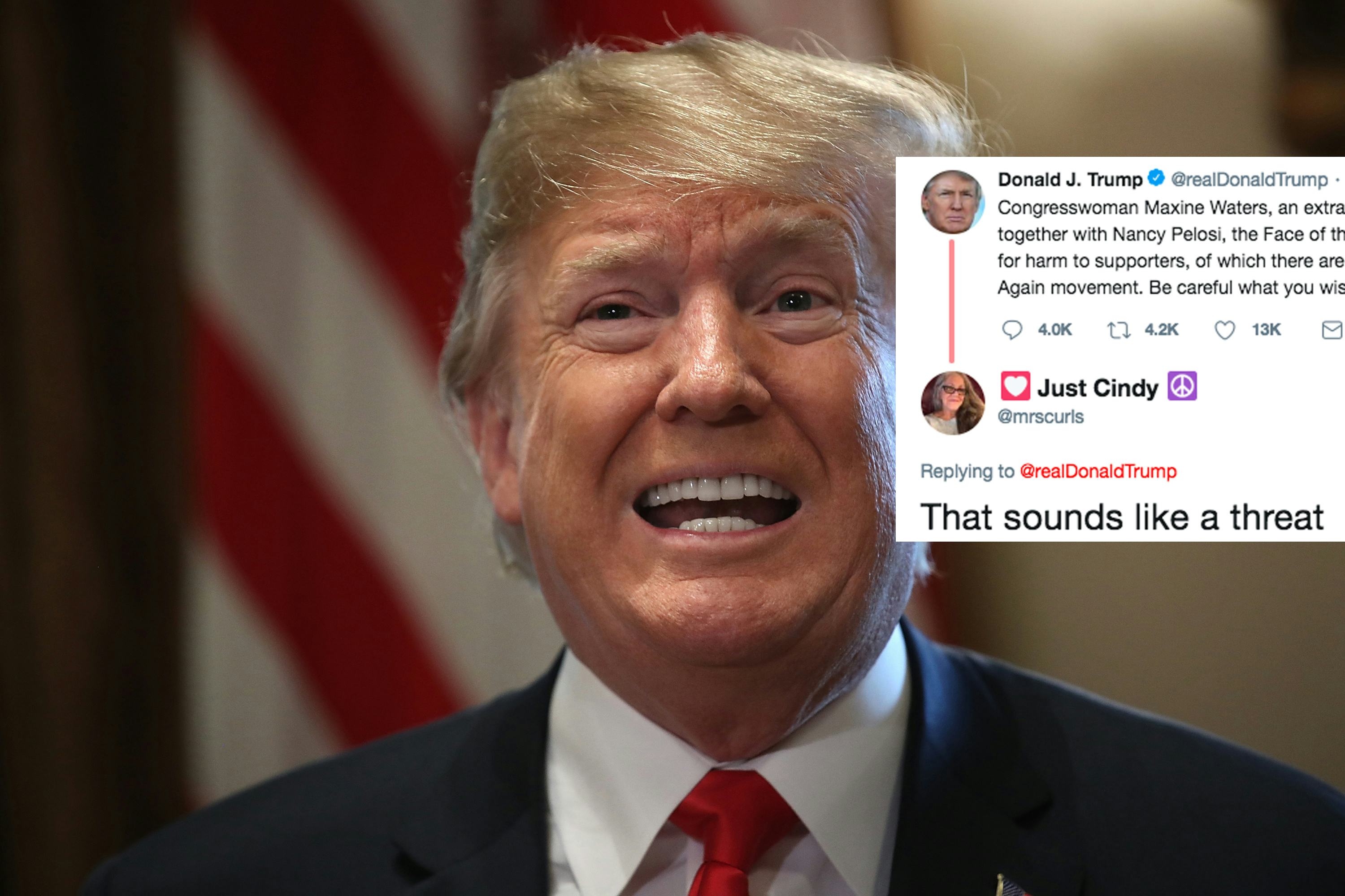 donald trump jr twitter maxine watters