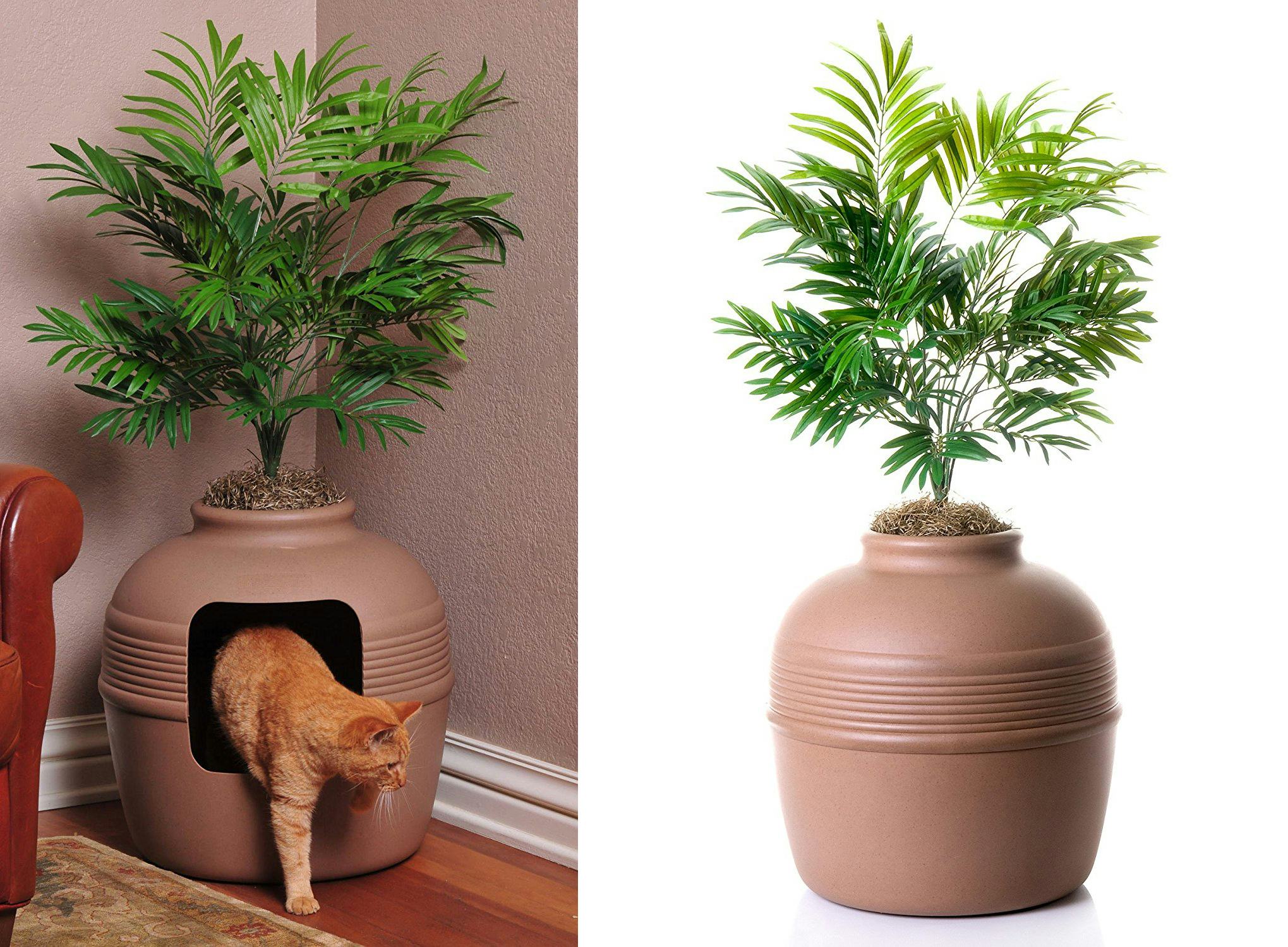 The 6 Best Covered Cat Litter Boxes