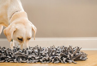 PAWS Wooly Snuffle Mat