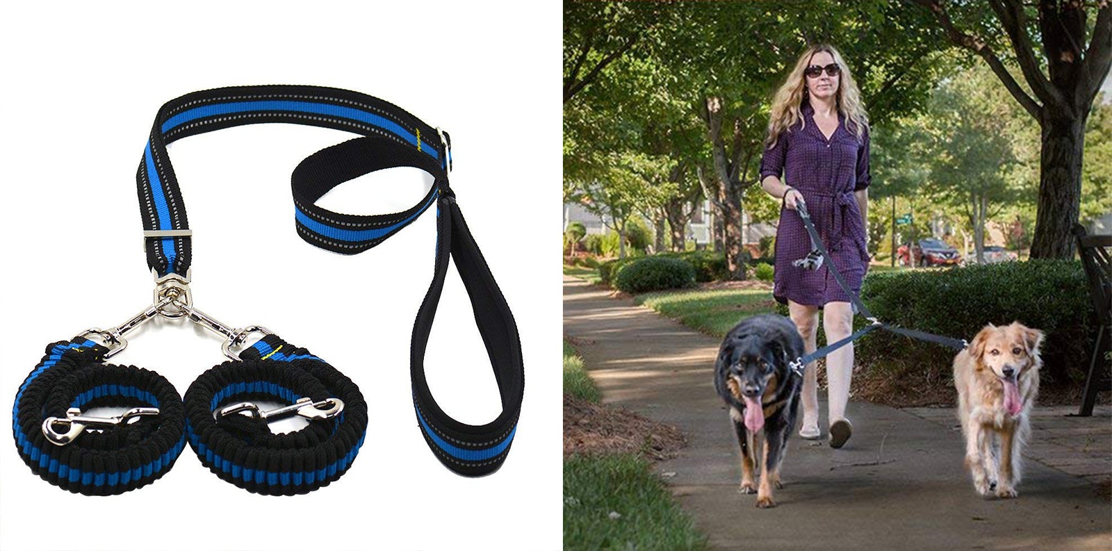 dog leash for big dogs