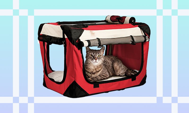 The 6 Best Cat Carriers For Cars best cat travel carrier for car
