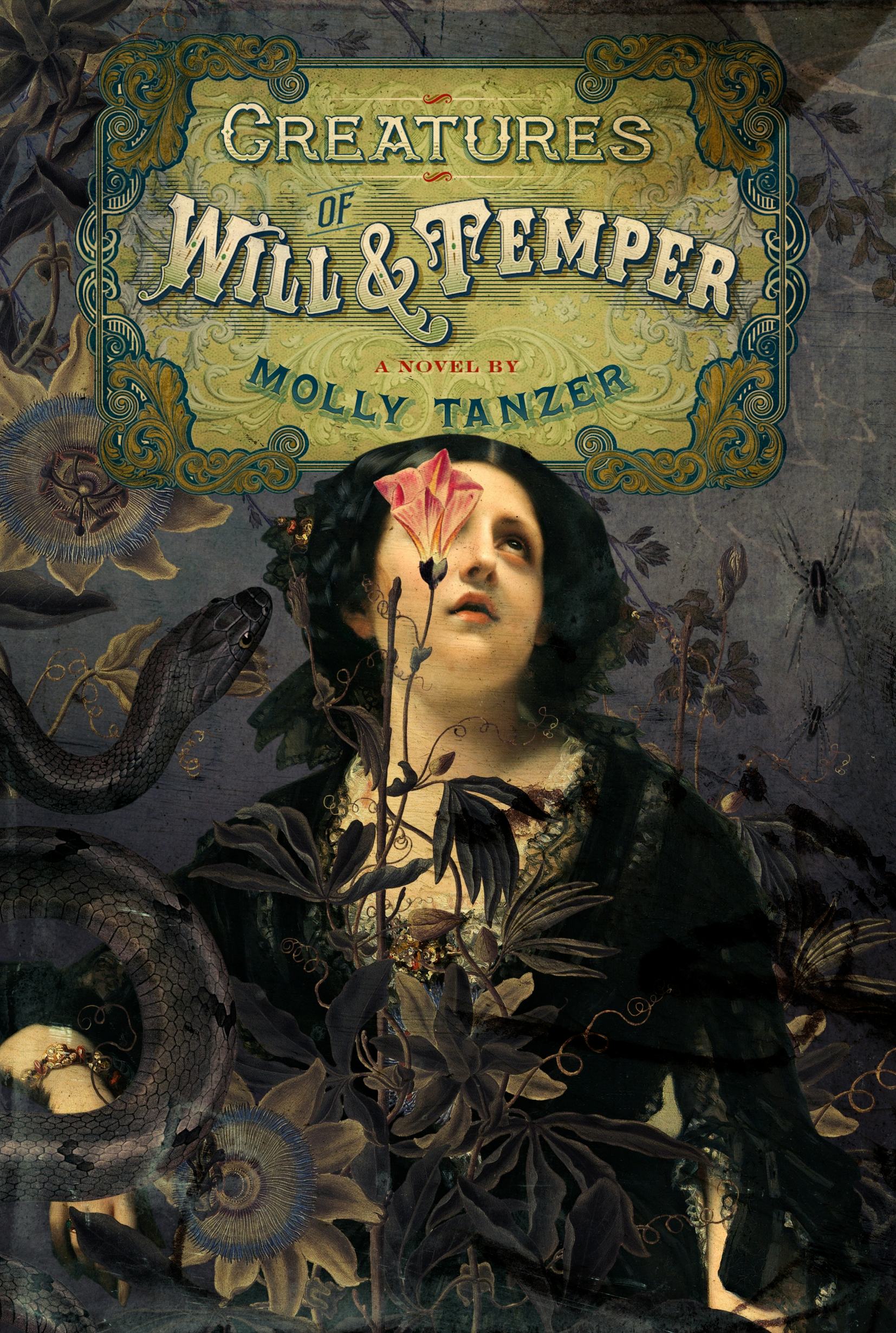 Creatures of Will and Temper by Molly Tanzer